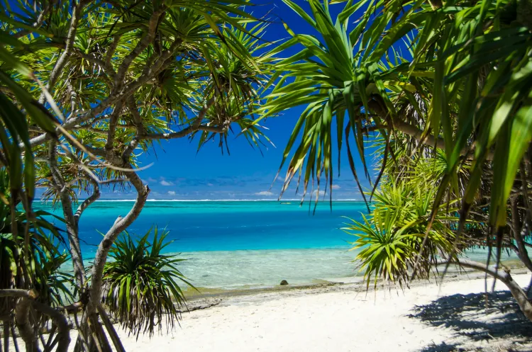 ЕС навсегда отменил безвизовый режим для Вануату